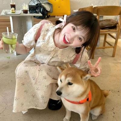 受伤小酒馆