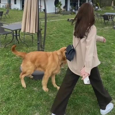 猛鬼街6国语